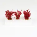 Fall Red