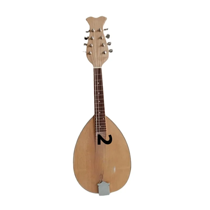 Ladybug-Style Octagonal Mandolin Piano With 8-Wire Steel Fingerboard Ebony Back/Side Maple Material Packed In A Leather Box