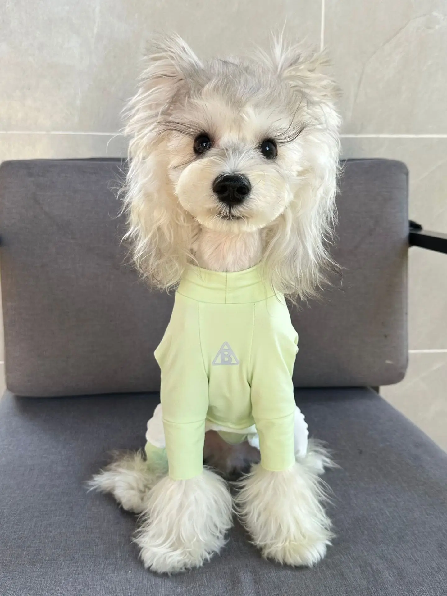 Chaleco antiinsectos refrescante para perros con mangas cortas - imagen 3