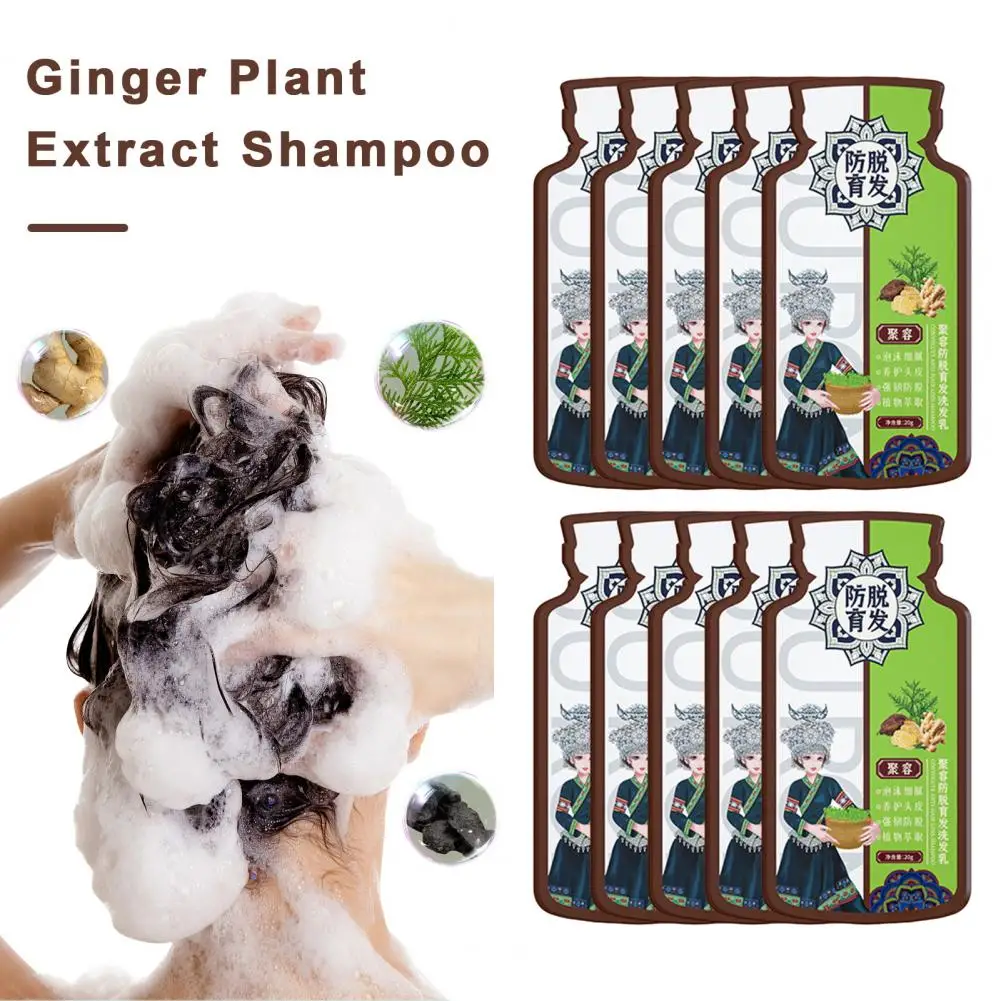 Anti-hair Loss Shampoo Ginger Plant Extract Shampoo 10pcs 20ml Ginger Shampoo Natural Hair Loss Treatment with for Men for Hair