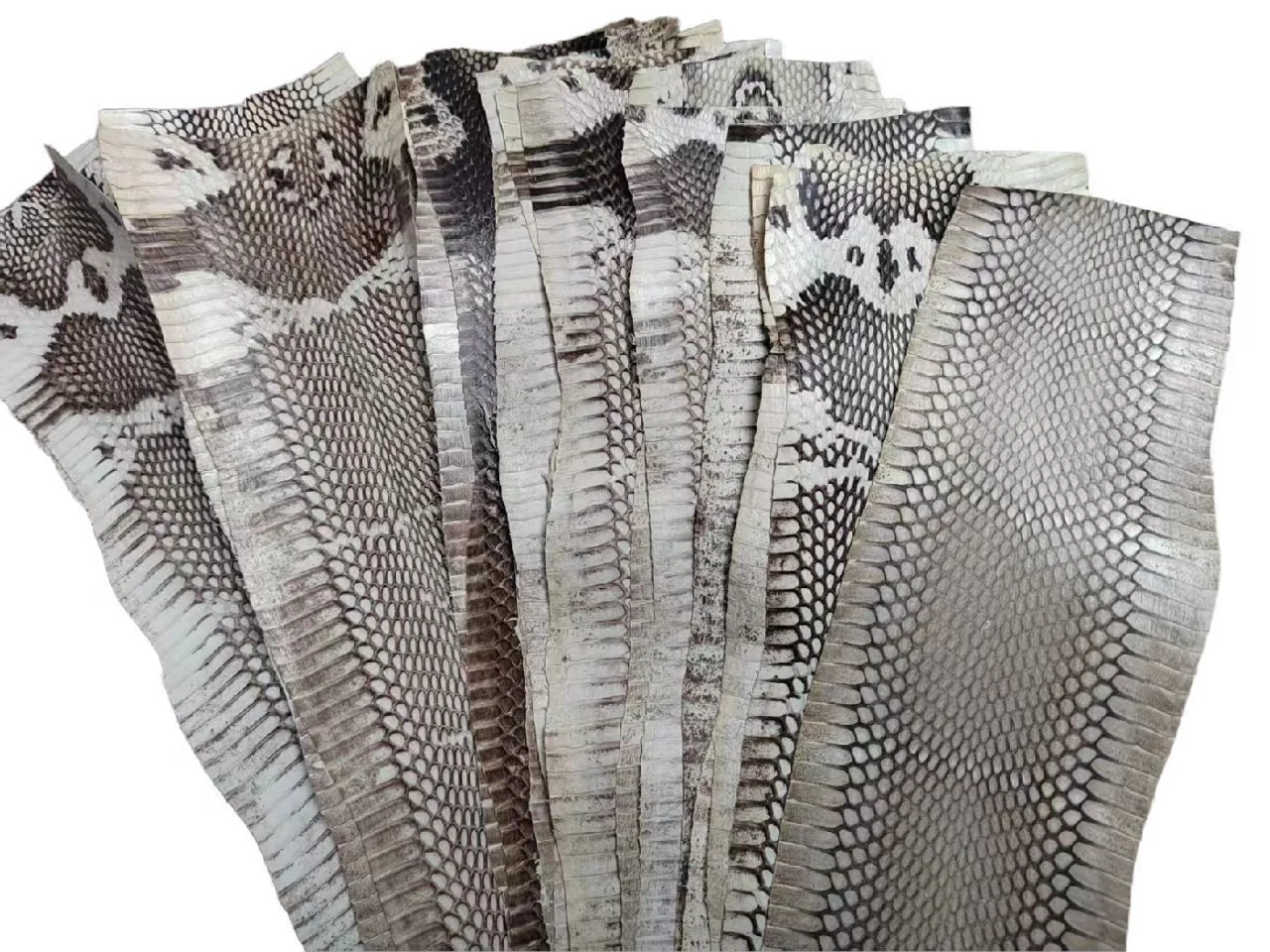 Cuero de serpiente cobra (tamaño pequeño) para la fabricación de bolsos, carteras y pulseras, cuero de cobra raro