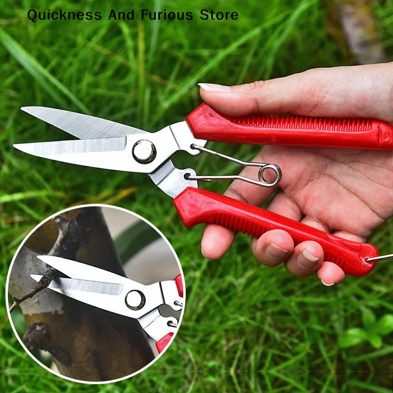 【T】Garden Scissors Straight Head Pruning Shears Non-slip Handle Stainless Steel Outils Manuels Household Bonsai Pruing Scissors