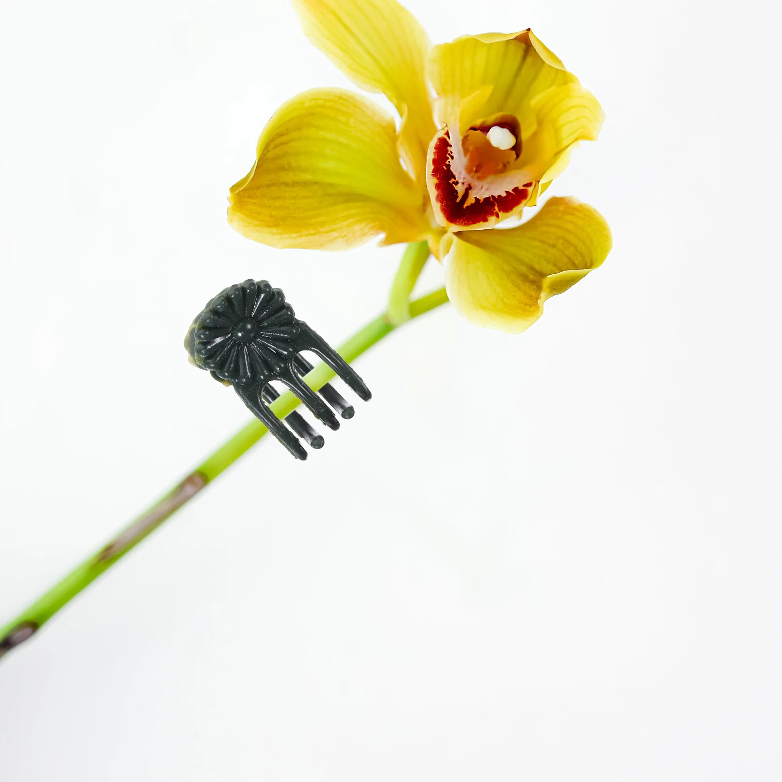 

100Pcs Plant Support Clips Reusable Plastic Clips for Climbing Plants Vine Flowers Stem Support Clamp Garden Plant Clip