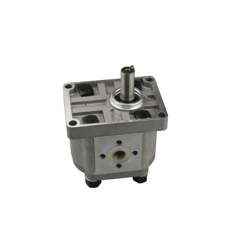 200 BAR High Pressure CBN-E325 CBN-F325 CBN Hydraulic Gear Oil Pump