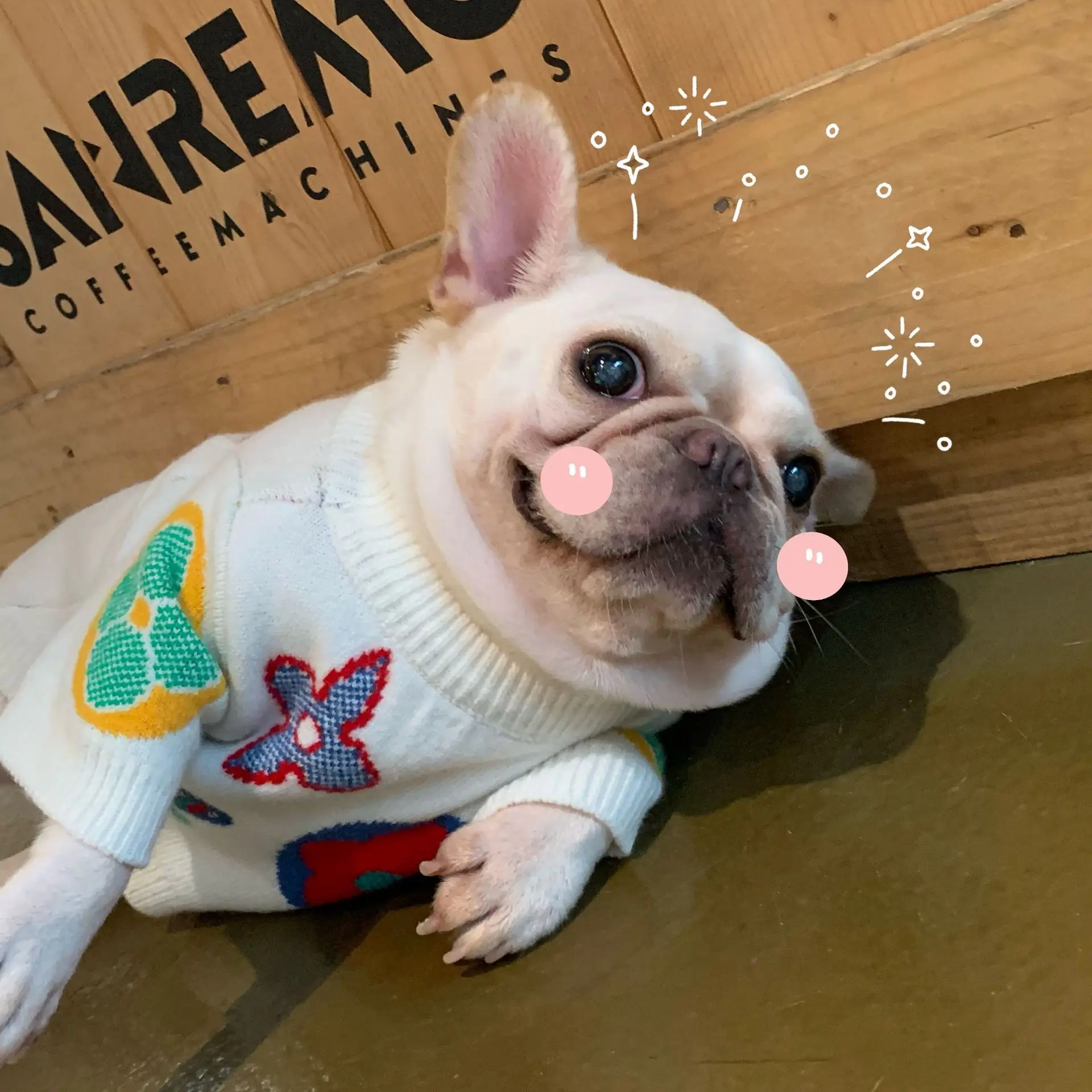 Winter Clothes For Small Dogs Designer Luxury Dog Clothes Winter french Bulldog Teddy Dog Clothes Warm Clothes For Medium Dogs