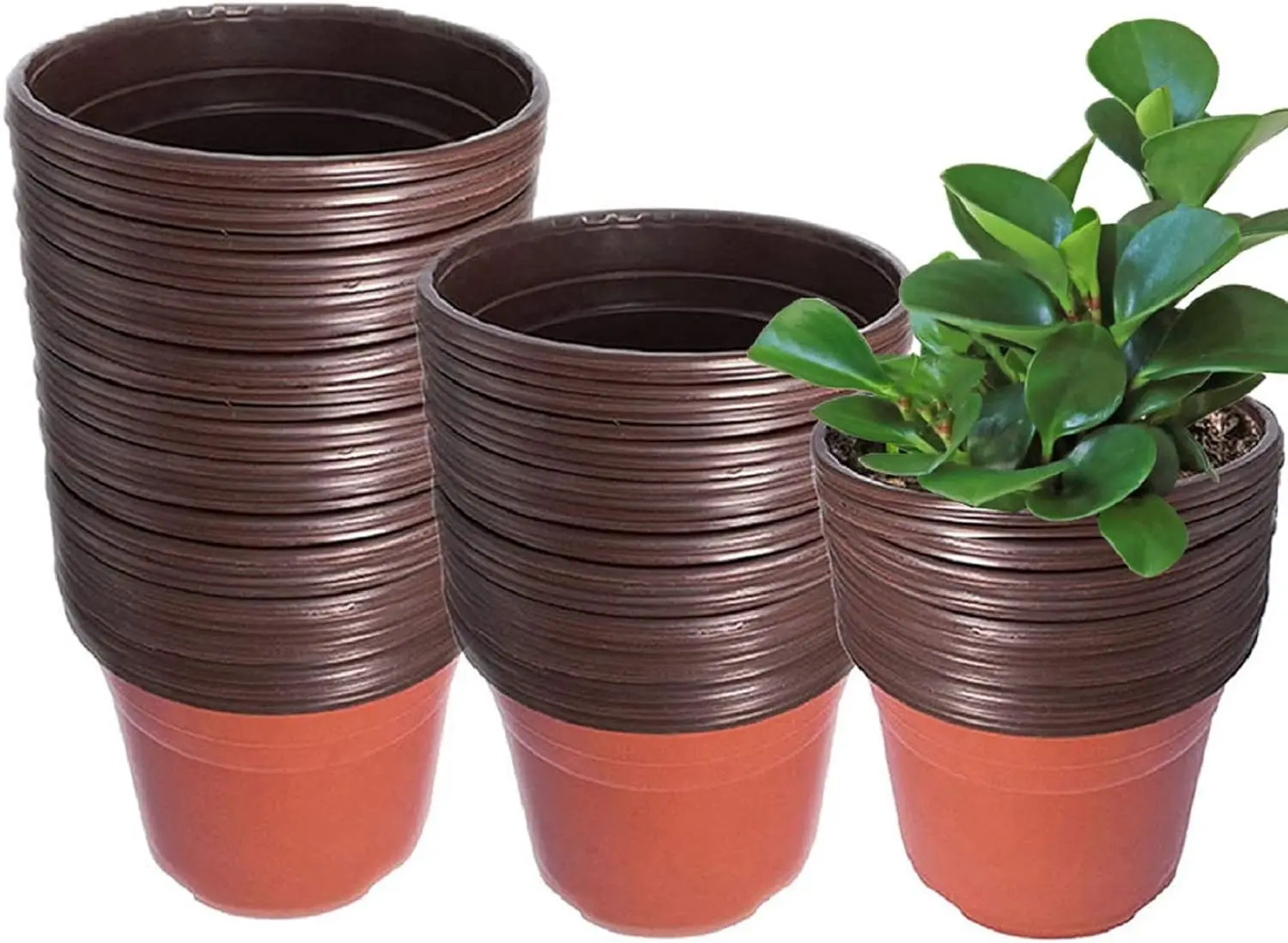 

100 Packs 9.5 Inches Plastic Plant Nursery Pots, Seed Starting Pot Flower Plant Container for Succulents, Seedlings, Cut