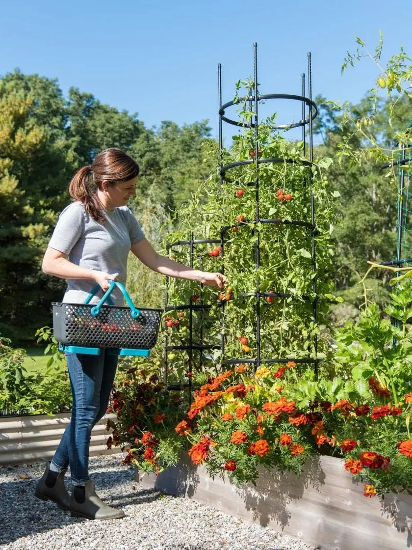 Titan Extra Tall Tomato Cages I Set of 3 - Sturdy Steel Core Plant Support Trellis for Vegetables & Climbing Plants | 19-1/2