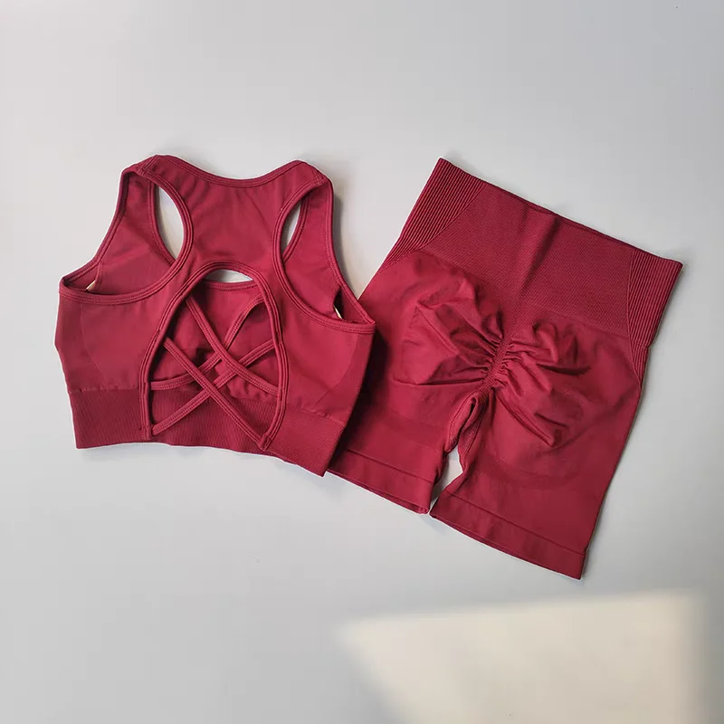 2-teiliges nahtloses Yoga-Set für Damen, sexy Sport-BH + Sportshorts mit hoher Taille, Fitnessbekleidung, ärmelloses Shorts-Set, Sportbekleidung. – Detail 10