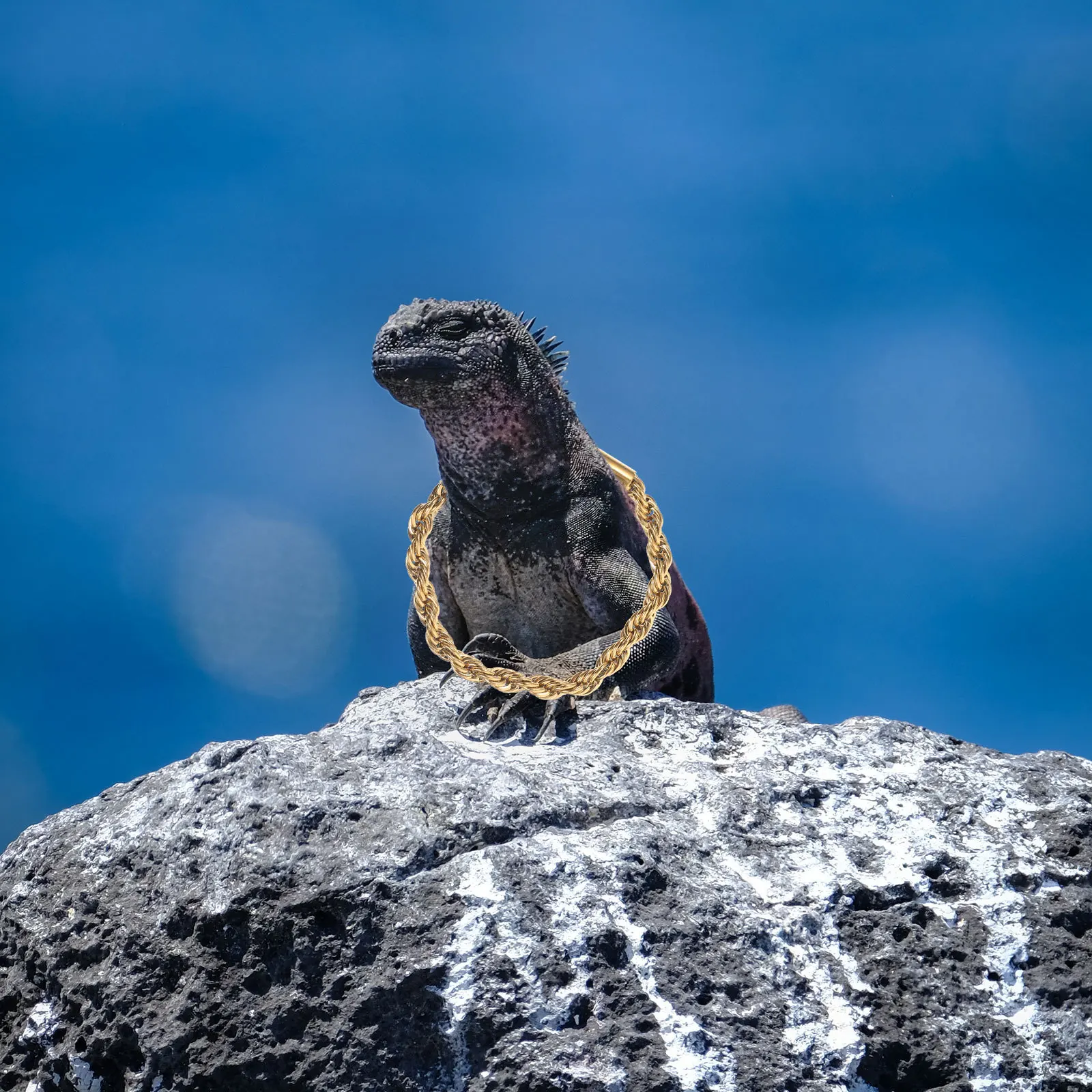 

1Set Reptile Crowns Hat Creative Bearded Dragon Clothes Necklace Festival Photo Prop Small Pet Cosplay Accessories