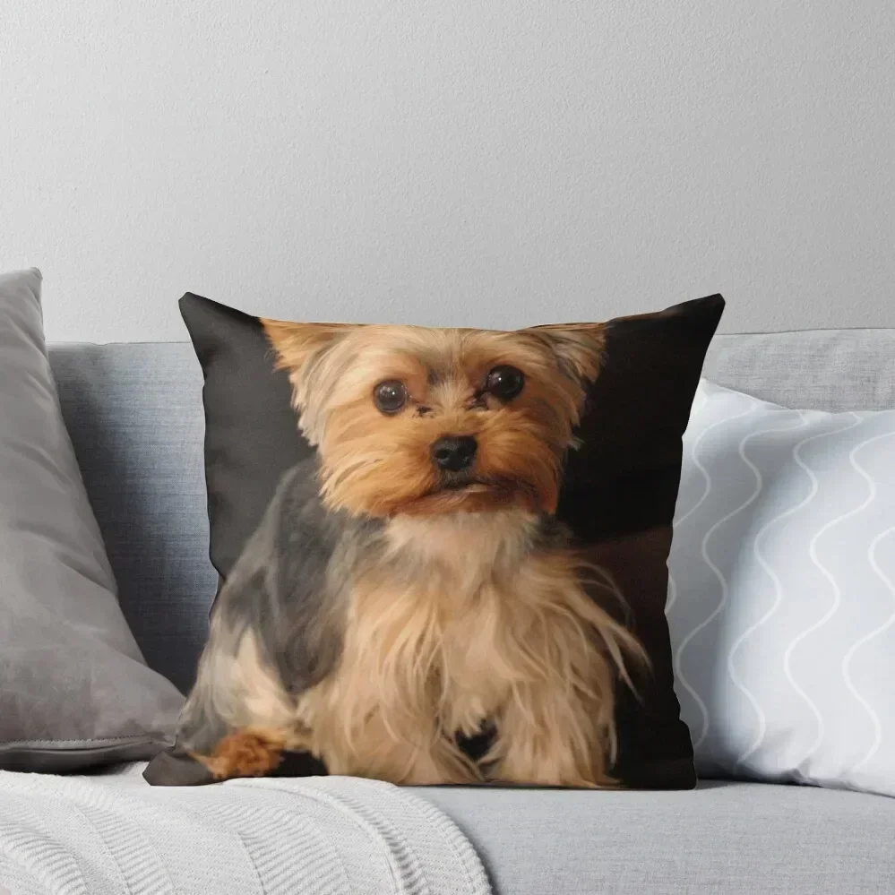 Yorkshire Terrier Throw Pillow Sofa Cushions Throw Pillow Covers Pillowcases Cushion Covers Sofa pillow