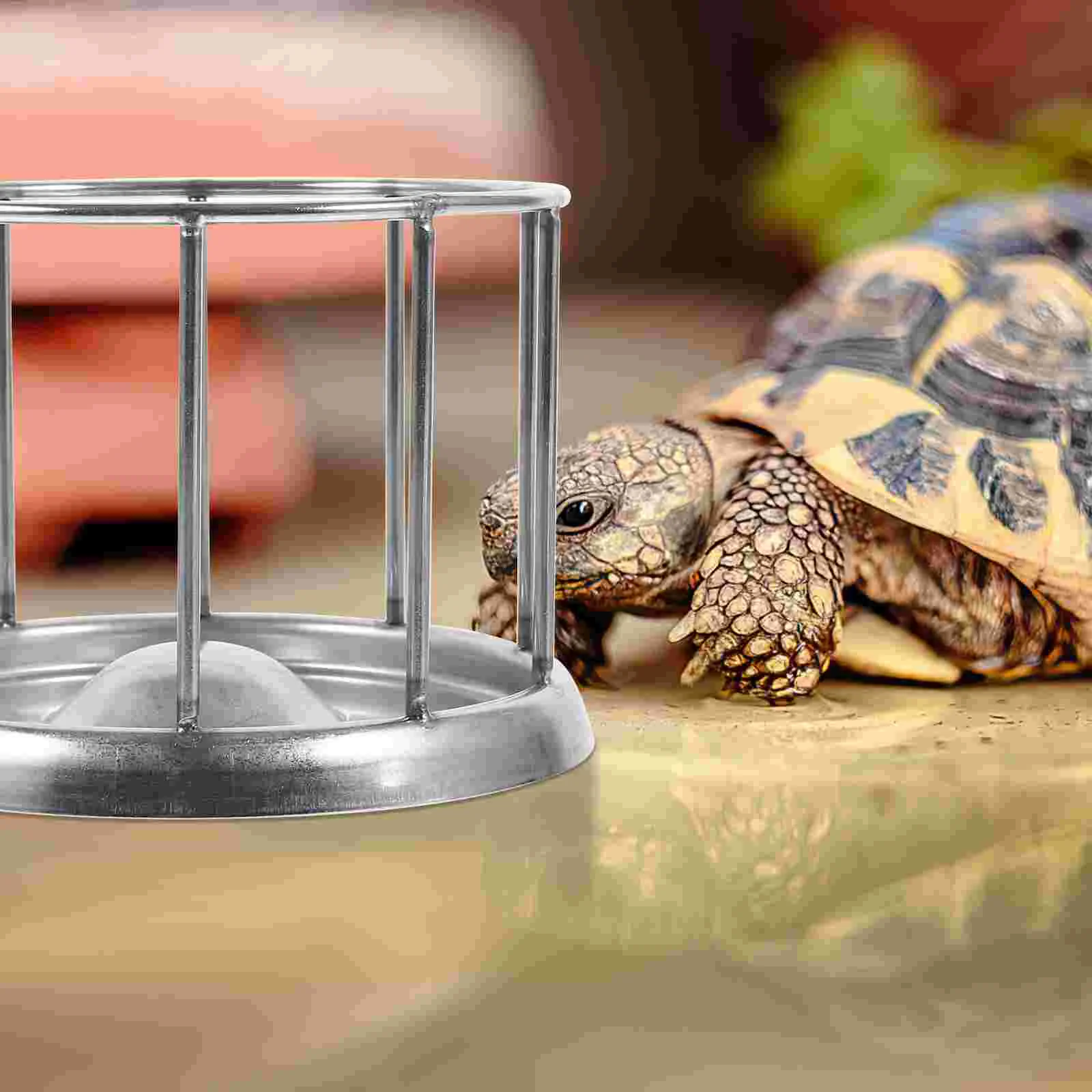 Tortoise Food Bowl Pet Supplies Animals Terrarium Water Reptile Dish Crawler Feeding Plate