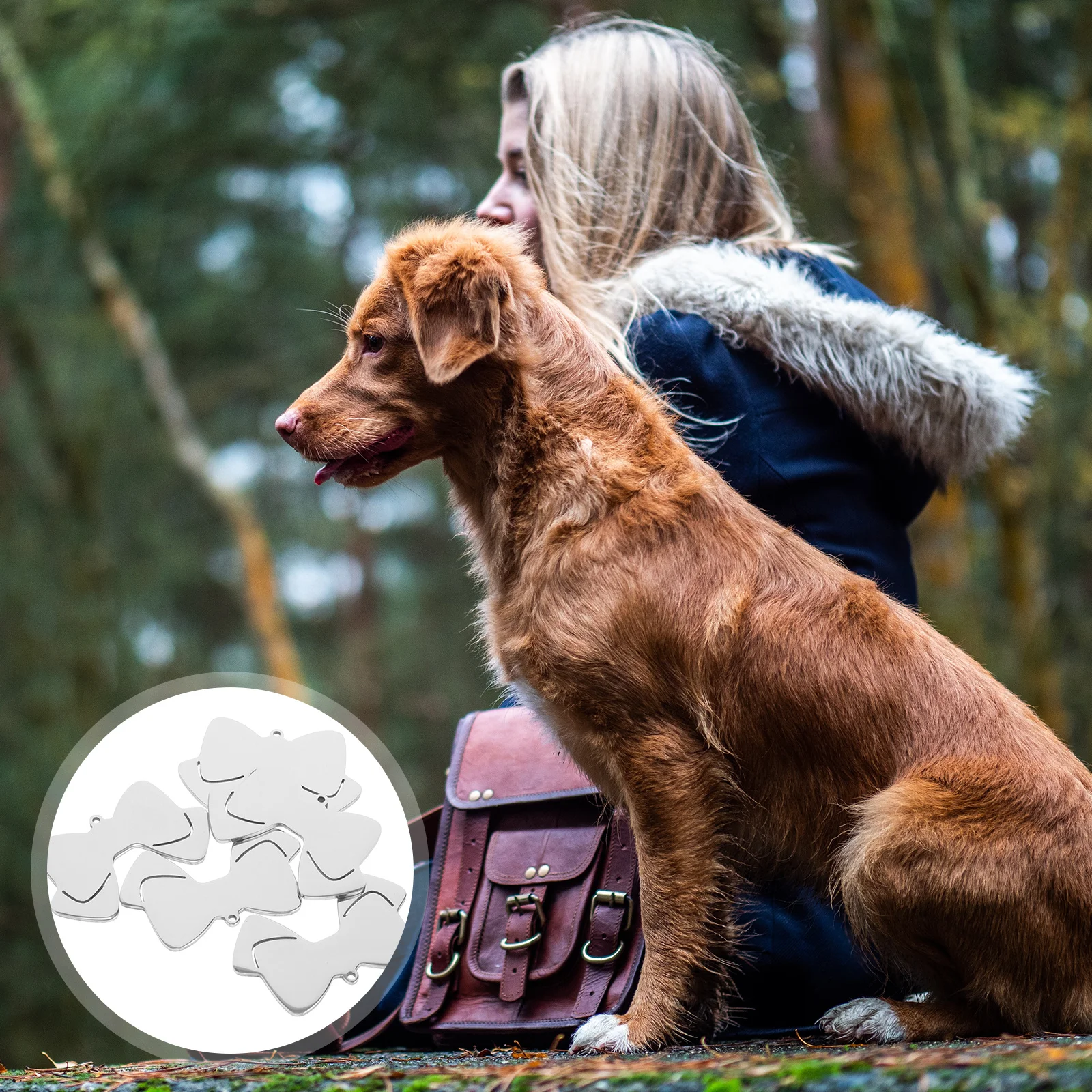 

10Pcs Pet Name Tags Bow Shape Metal Dog Tag for Engraving Name Number Small Dogs Cats Identification Dog Id Tag