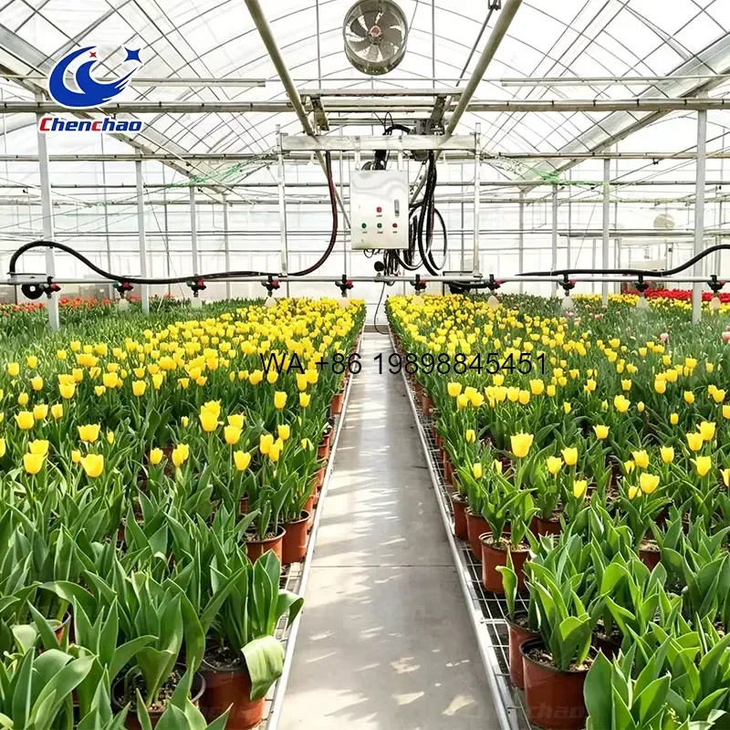 Wmwmnu Rail Hanging Travelling Irrigation Trolley Automatic Moving Sprinkler for Greenhouse Misting System