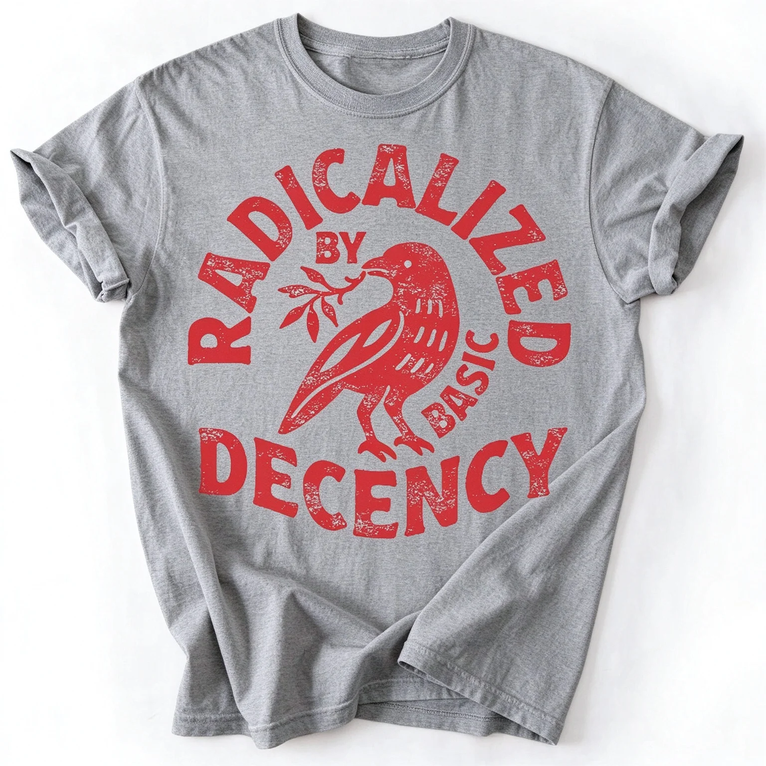 Men's Vintage T Shirt Funny Radicalized by Basic Decency Meme T Sthirt Women Streetwear Cotton Oversized Tee Unisex Short Sleeve