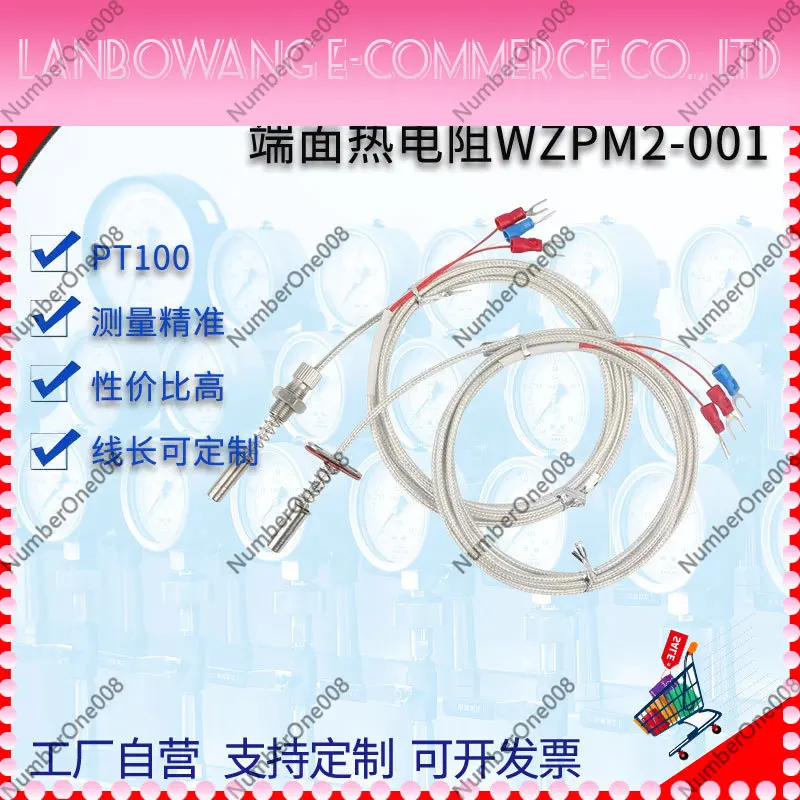 WZPM PT100 RTD Sensor Surface Mount for Motor Bearing Oil Resistant High Temp