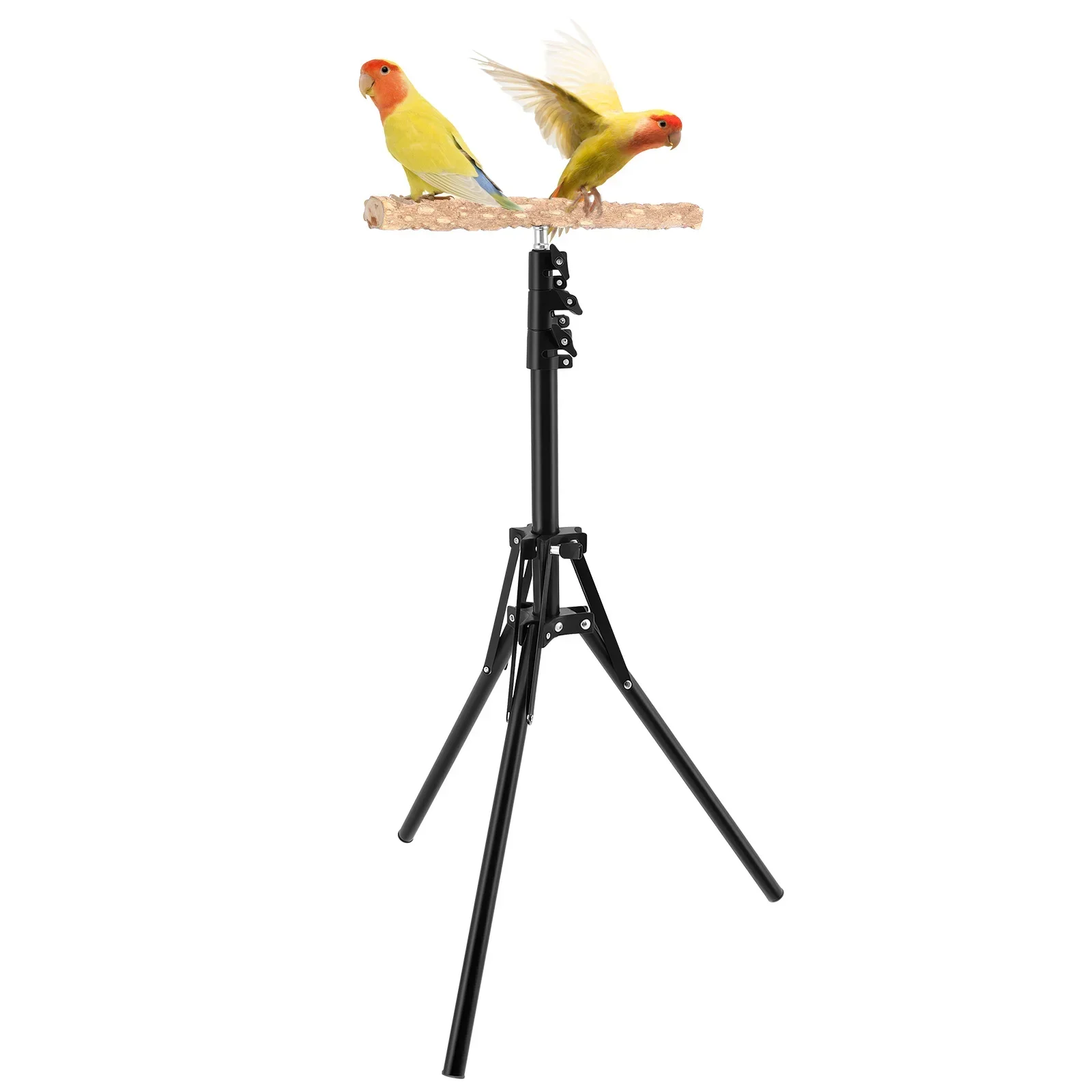 Soporte de Madera para Pájaros, Altura Ajustable, Plegable, Percha de Entrenamiento para Loros, Juguete para Pájaros, Plataforma Portátil para Exteriores