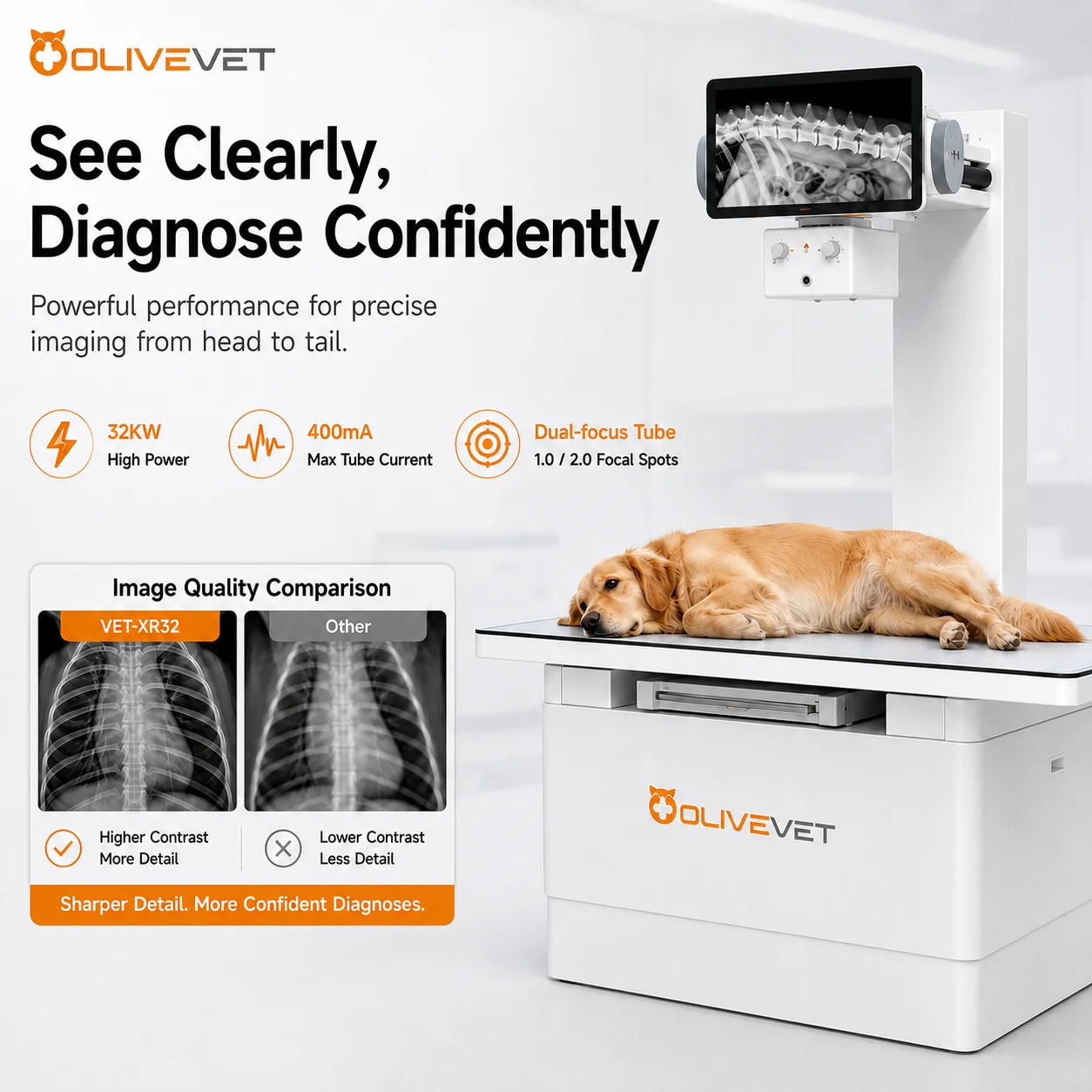 OliveVet Veterinary Clinic Hospital Use Diagnostic Equipment 32KW Veterinary X-ray Machine