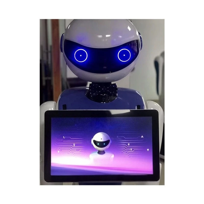 La sala espositiva spiega automaticamente, consultare e domande e risposte guidano il modo