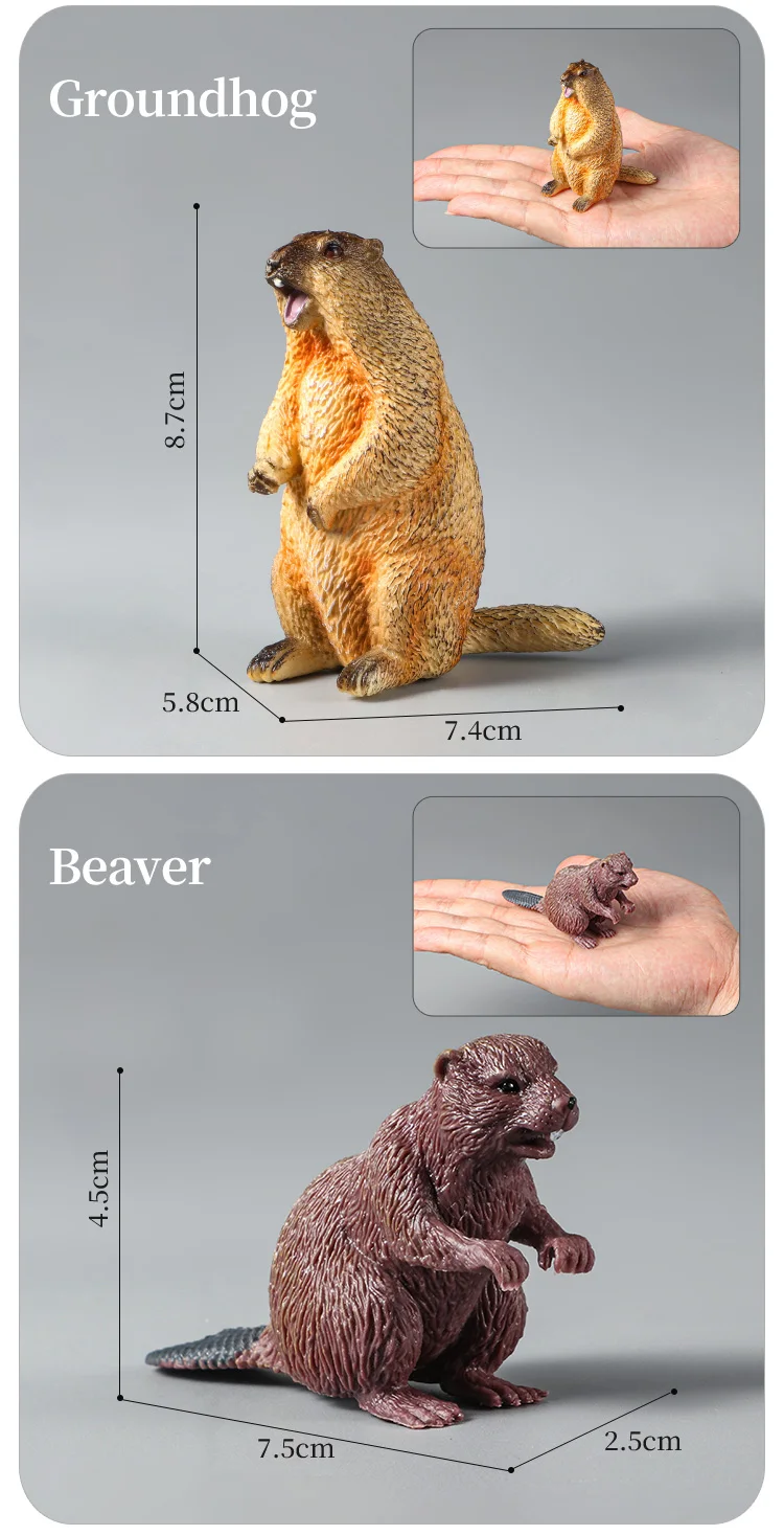 Montessori Wildtiere Modell Spielzeug Set – Löwe Elefant Antilope Actionfiguren Miniatur Zoo Figuren Pädagogisches Geschenk für Kinder – Detail 17