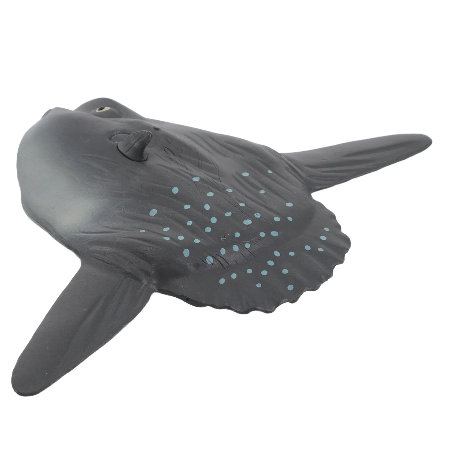 Trout Realistic Marine Animal Ocean Learning Playroom Decor Educational Sea Creatures Birthday New Year Gifts Simulated Fish