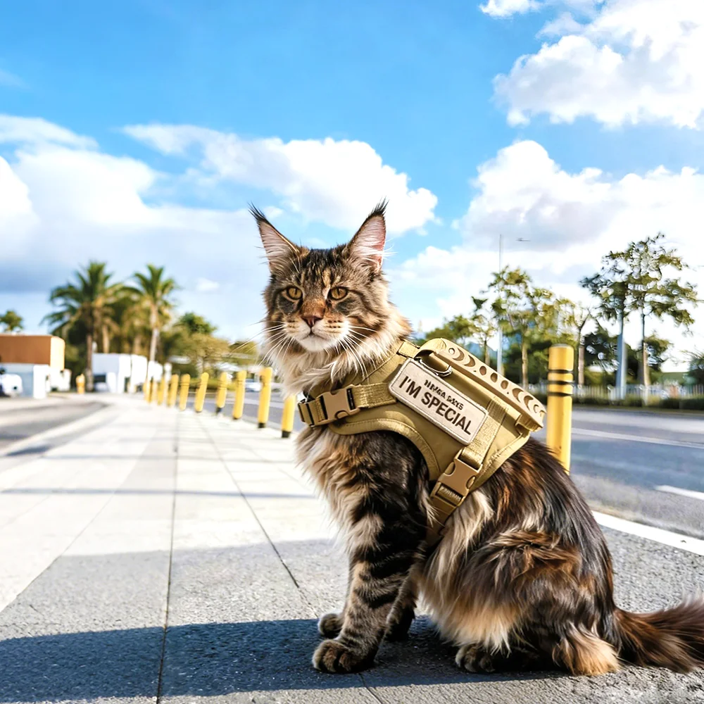 ชุดสายรัดอกแบบยุทธวิธีพร้อมแผ่นแปะ 2 ชิ้น ชุดเสื้อกั๊กสำหรับลูกสุนัข สายรัดอกสำหรับสุนัขพันธุ์เล็ก อุปกรณ์สำหรับฝึกสัตว์เลี้ยง แมว
