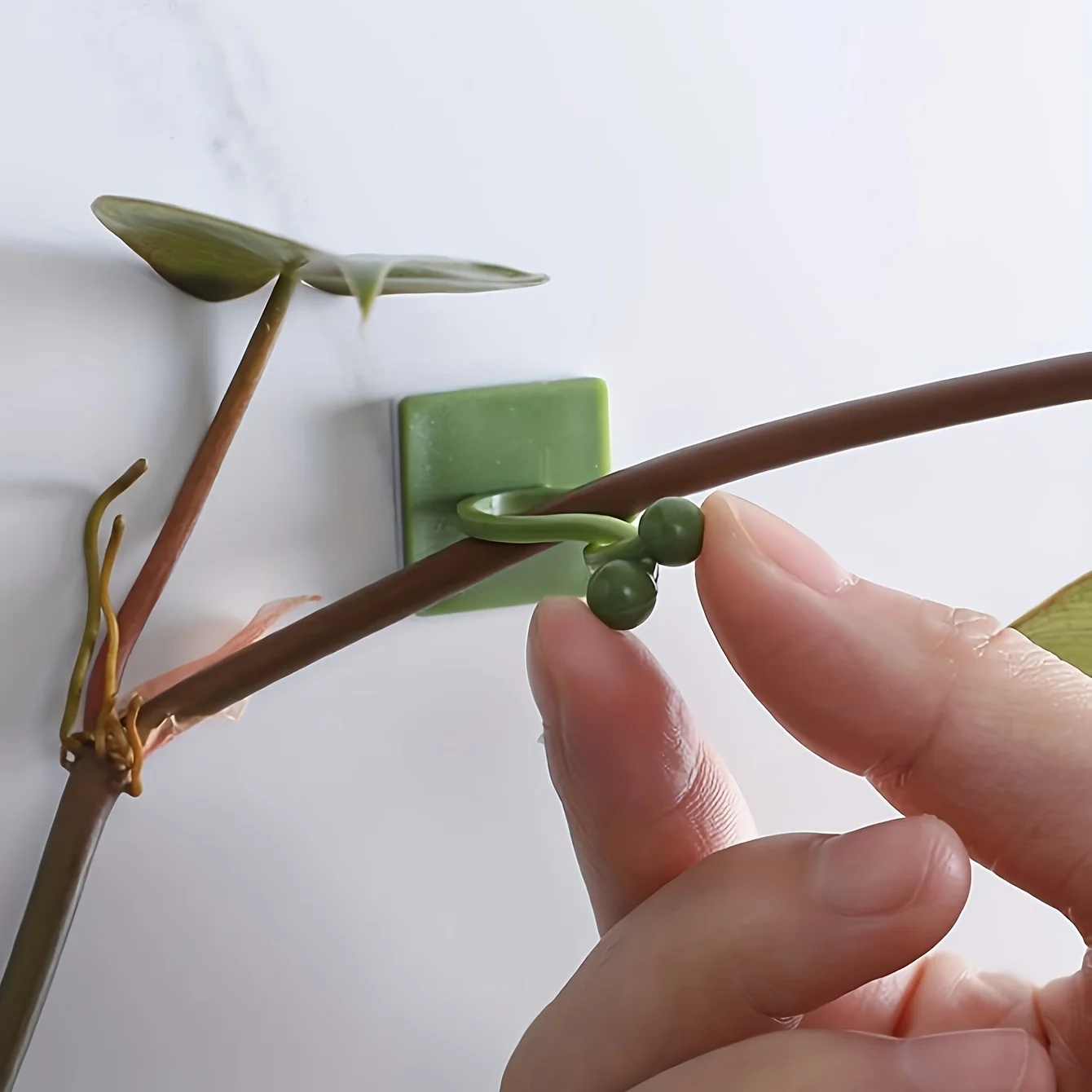 10 teile/paket Anlage Klettern Wand Halterung Clips Rattan Reben Fixer Selbst-Klebe Haken Unsichtbare Garten Bindung Clip Wand StickyClip