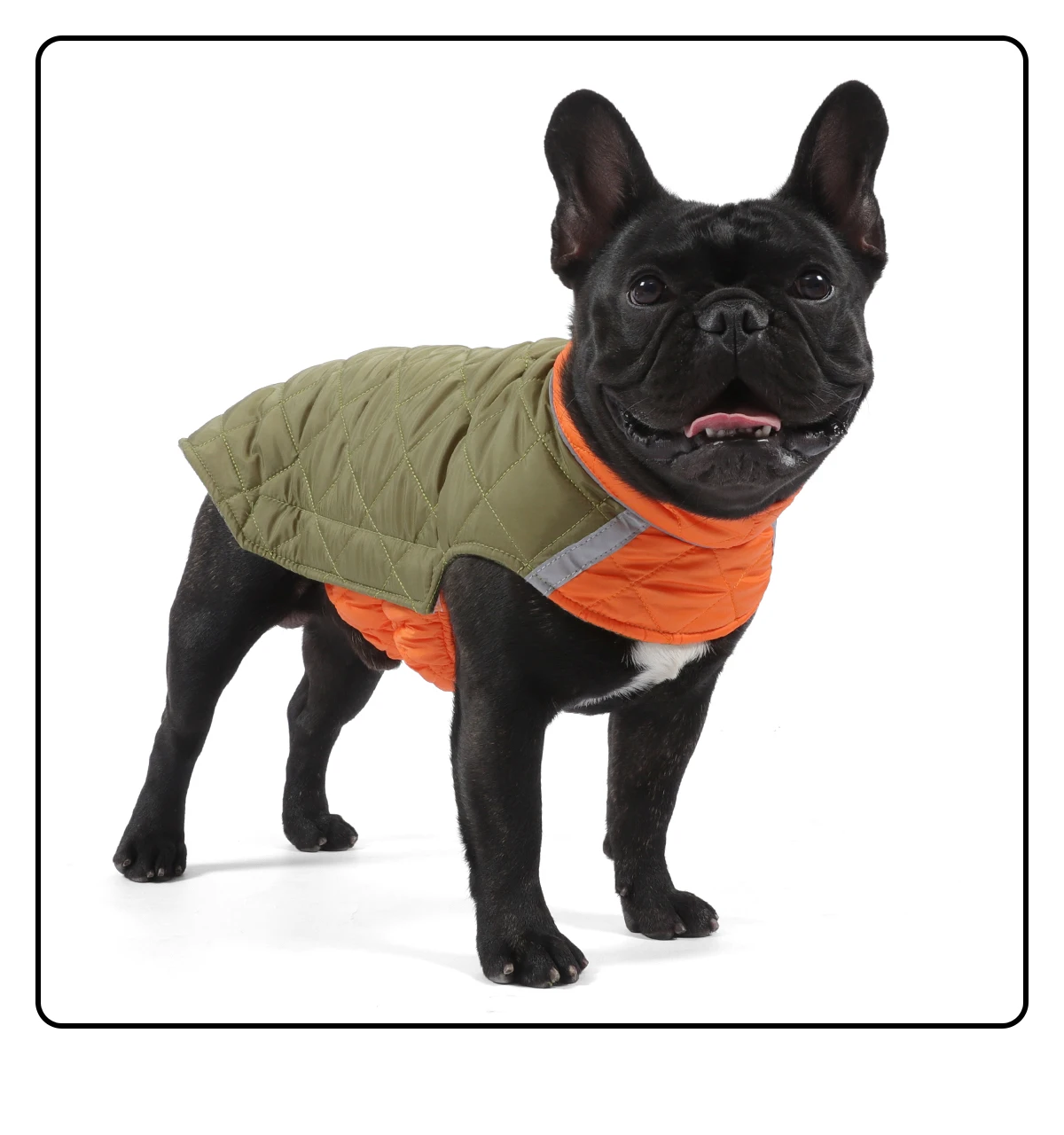 Winterhundekleidung, warmer Hundemantel, beidseitig tragbar, PP-Baumwolle, Outdoor-Welpenkleidung, Jacke, Chihuahua, French Bulldog Kleidung – Detail 15