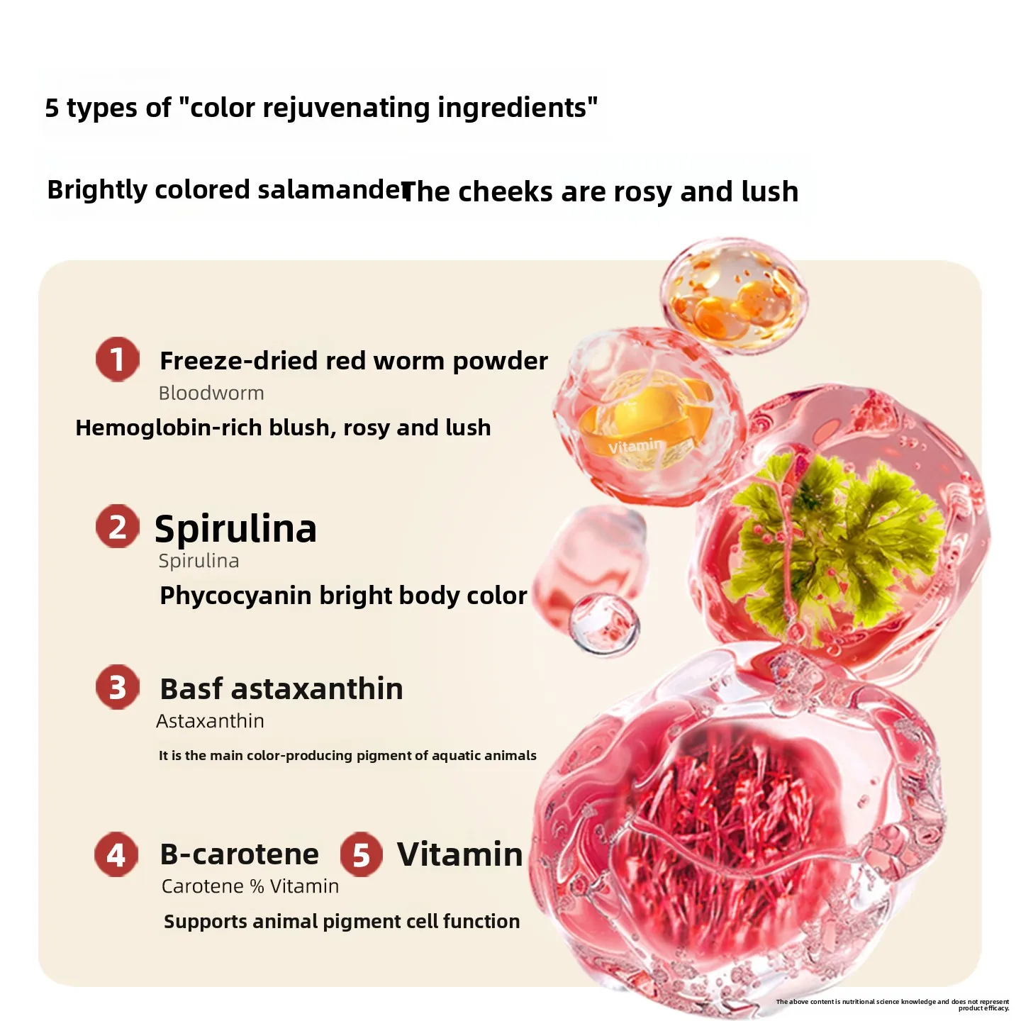 SANKii غرق الكريات الغذائية Axolotl مع ديدان الدم، حمية ناعمة كاملة للنيوتات والسلطات المائية