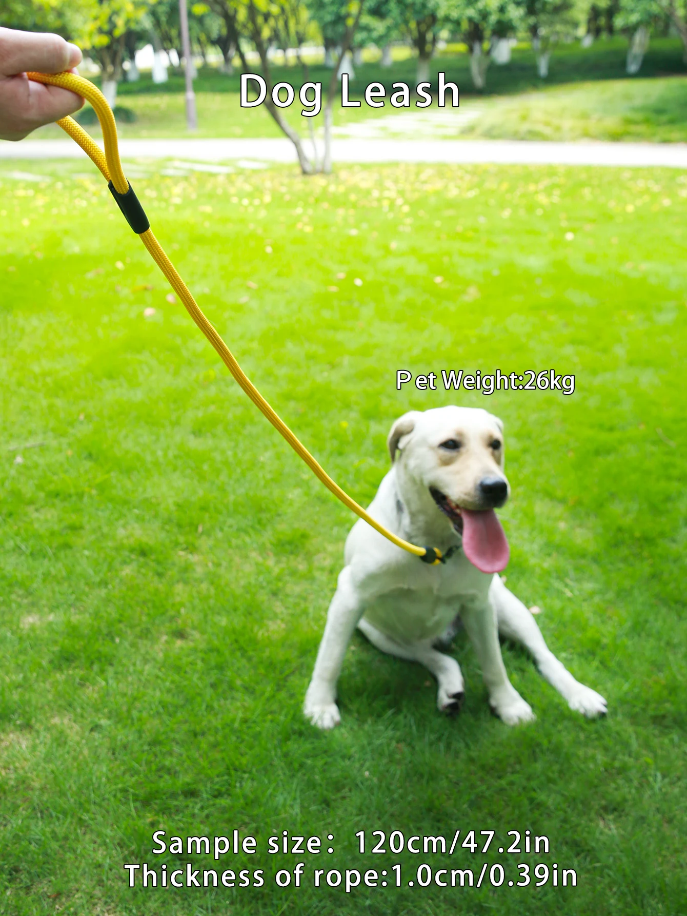 1CP Yellow Round Rope Pet Dog Leash Harness, High Quality, Strong and Durable