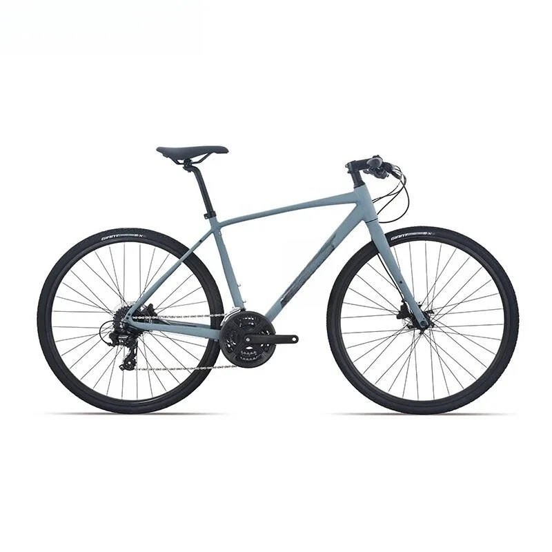 Fitness flat handlebar road bike