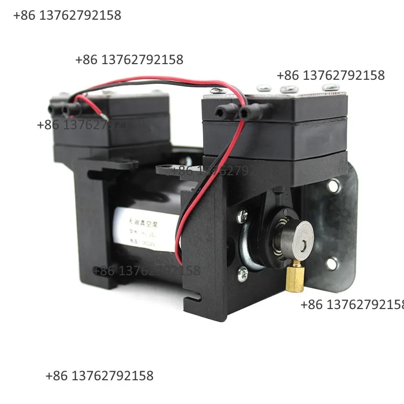12V/220V Double Head Diaphragm Vacuum Pump Mute Positive Negative Pressure Micro Air Pump For  Instrument