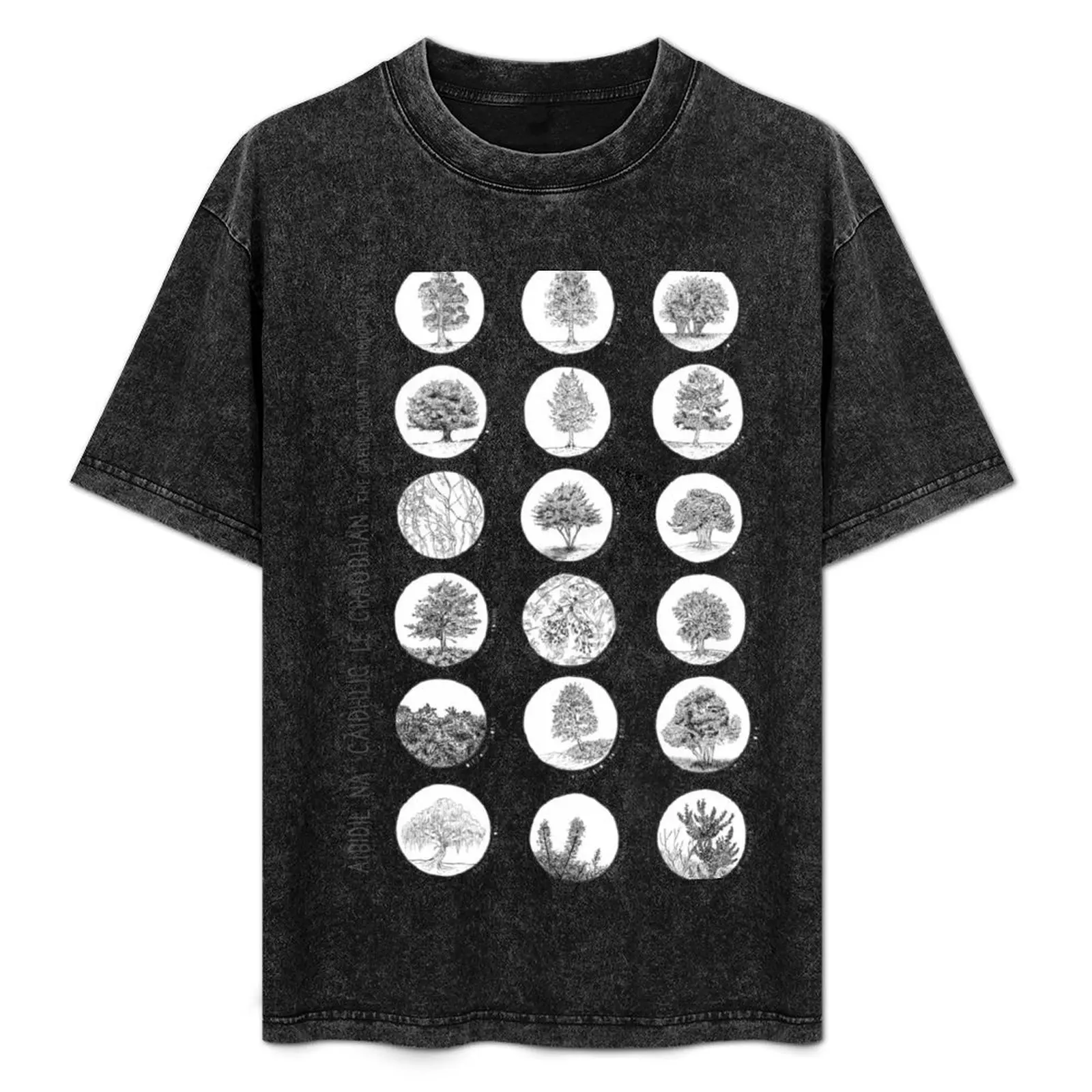 

Aibidil Na Gàidhlig Le Craobhan T-Shirt man graphic t shirt man t shirt summer T-Shirt