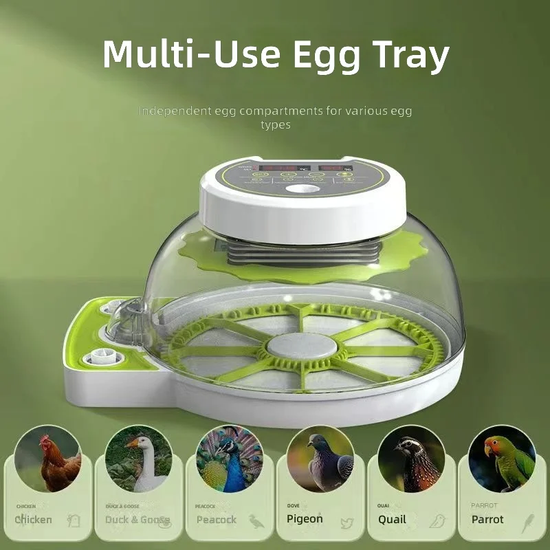 Small Home Poultry Incubator, Parrot Pigeon Chicken Egg Hatcher, Temperature Control, Automatic Turning, High Hatching Rate