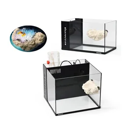 Vastocean Suspended Anemone Nest Magnetic Suction Pacifier Saltwater Coral Tank Landscape