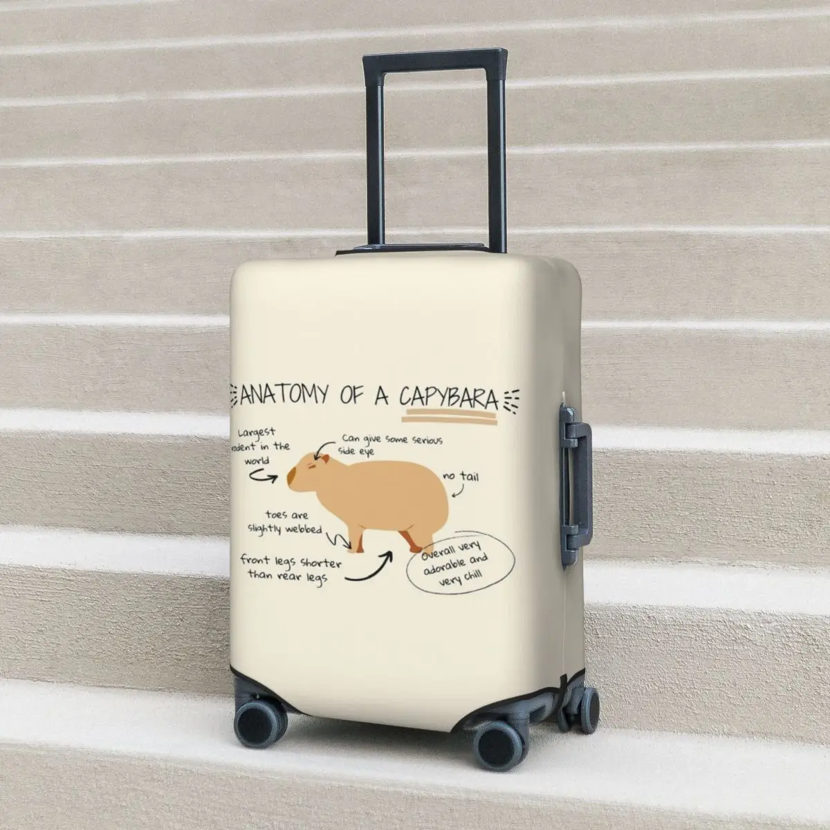 

Anatomy Of A Capybara Suitcase Cover Cruise Trip Protector Flight Fun Luggage Supplies