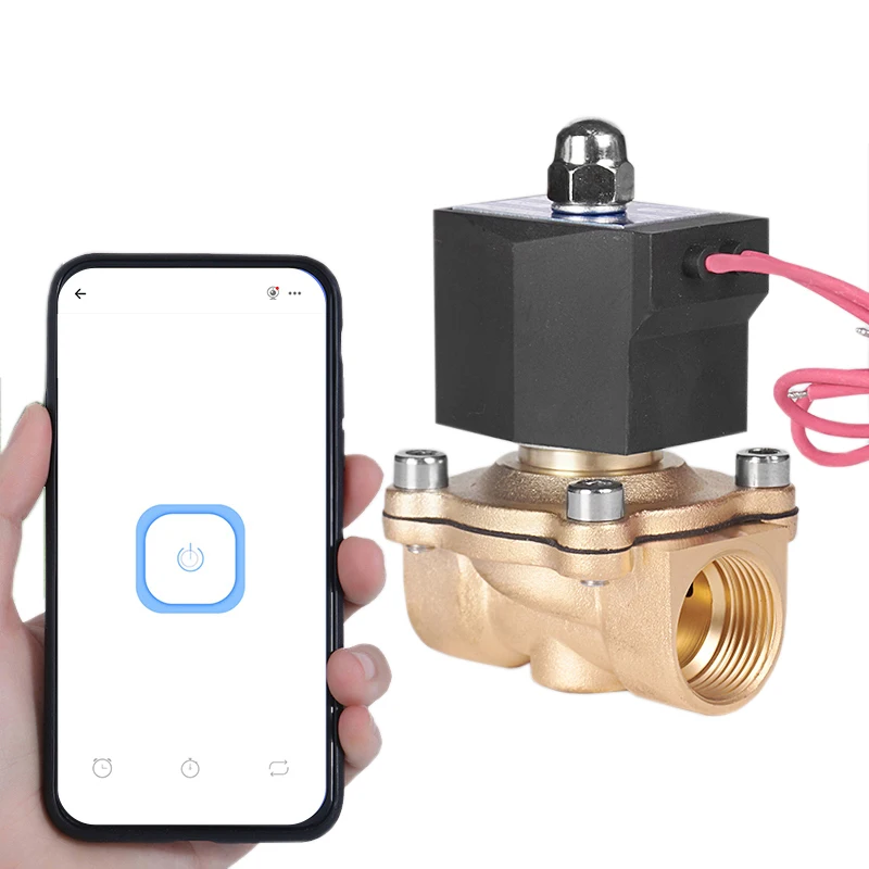 

Factory Direct Sales Customized Unlimited Distance Remote Control Wi-Fi Function Brass Solenoid Valve for Water Control