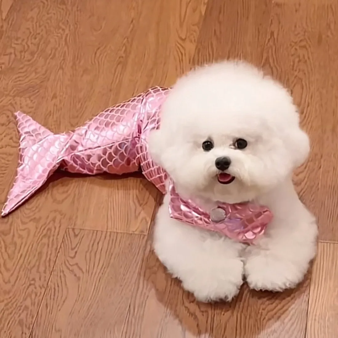 Puppy Mermaid Transformers Funny Swimwear Fish Tail Styling Dog Clothes Cat Cute Bikini Summer Pet Clothes