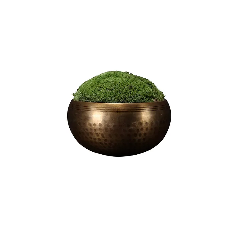 Chinese Zen Golden Bronze Eternal Moss Micro Landscape Tea Table Bo Ancient Frame Decoration