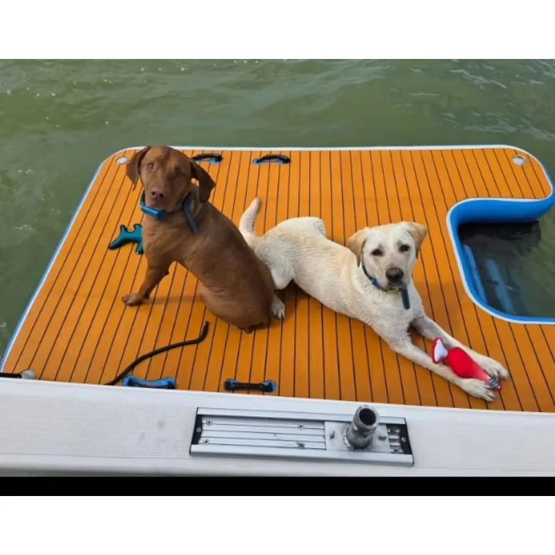 2.5M Large Swimming Pets Dock Pvc Floating Inflatable Boat Pool Ramp for Multiple Dogs
