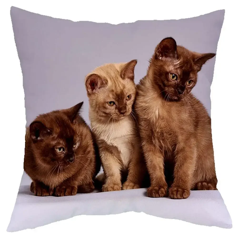 Juste de coussin série petit chat paresseux mignon, décoration de canapé de salon, lit, vêtements de maison pour enfants, taie d\'oreiller