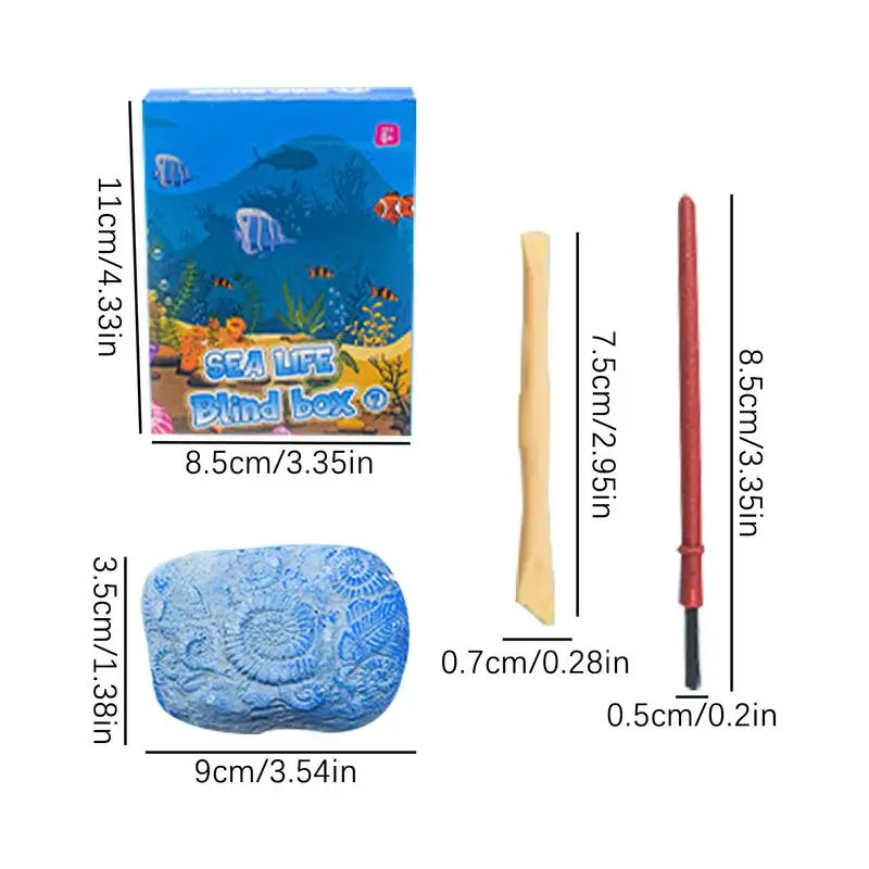 Kit di scavo di animali oceanici Giocattolo educativo scientifico per bambini Fossil archeologico Giocattoli oceanici per ragazzi Ragazze Scienza educativa Geolog