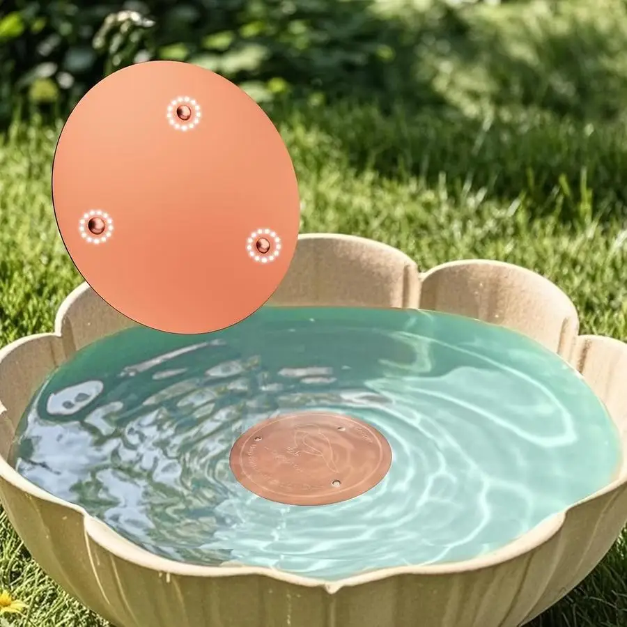 1/5/10/20/50/100pcs Bird Bath Copper Dish Funny Positive Mini Items Daughters Friends For Father Milestone Gifts back to school