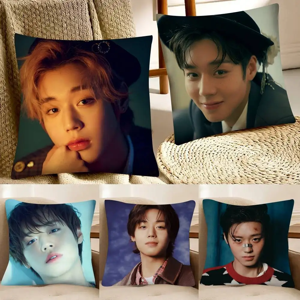 Korean Singer Park Ji-hoon Pillow Case Fashion Square Pillowcase Bedroom Sofa Room Ins Decoration Leisure
