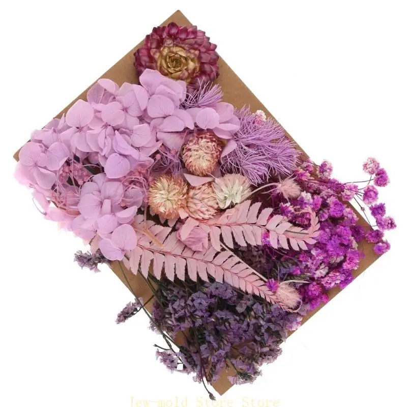 

C71B DIY Dried Flower Craft Set Floral Materials Set Dried Flower Pack Floral Craft Supply for Hand Fan and Decoration