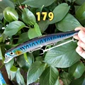 179--9142
