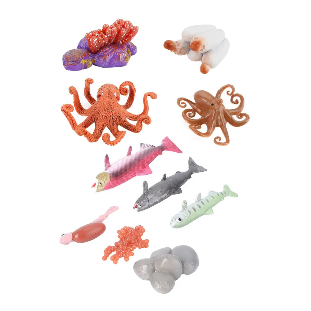 2 conjuntos de ciclo de crescimento de peixes, artesanal, design criativo, decoração de quarto, adereço educacional para crianças, modelo de figura de peixe, modelo de ciclo de vida de polvo