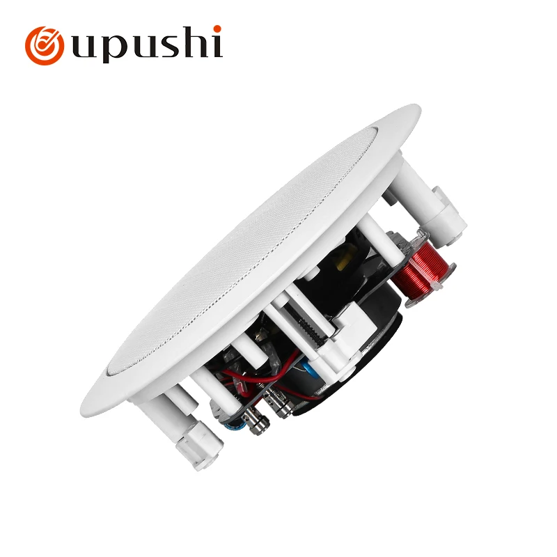 KS-818 Coaxial Ceil…