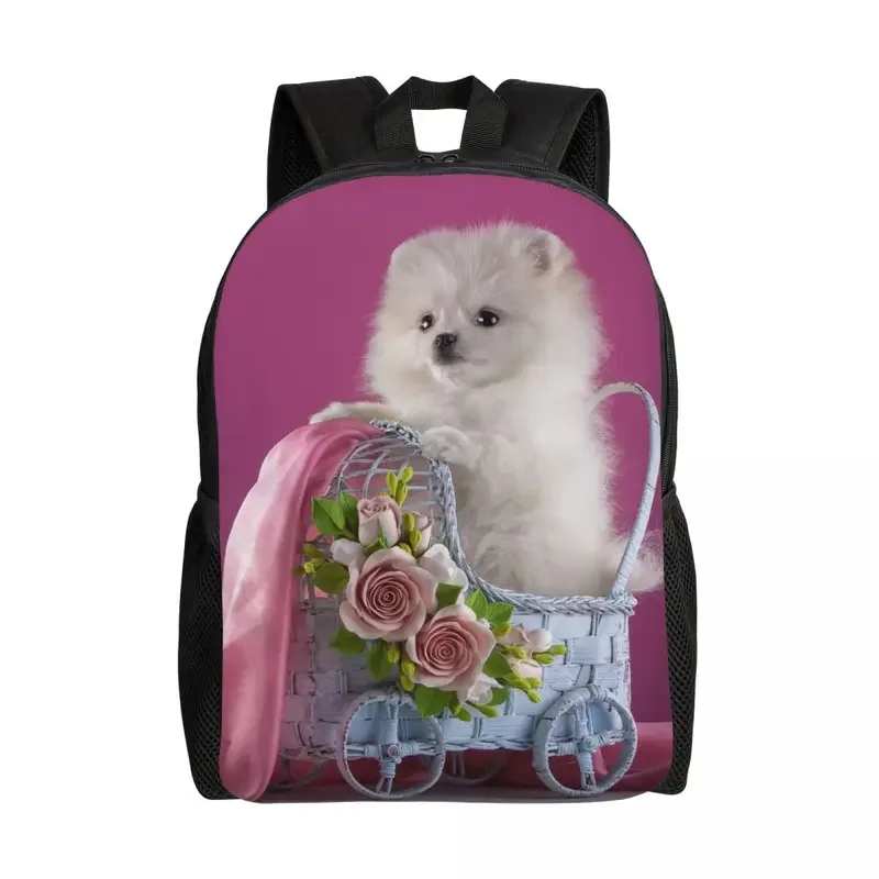 Mochila de viaje con estampado de perro Pomerania para hombre y mujer, morral escolar para ordenador portátil, Spitz Puppy, morral para Estudiante Universitario