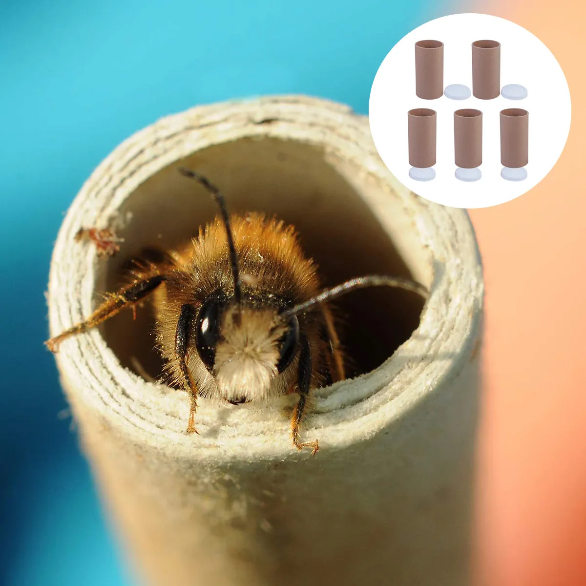 juego-de-5-tubos-de-almacenamiento-de-papel-kraft-para-posters-dibujos-impresiones-artisticas-documentos-envio-y-proteccion-de-archivo-a-largo-plazo-resistentes