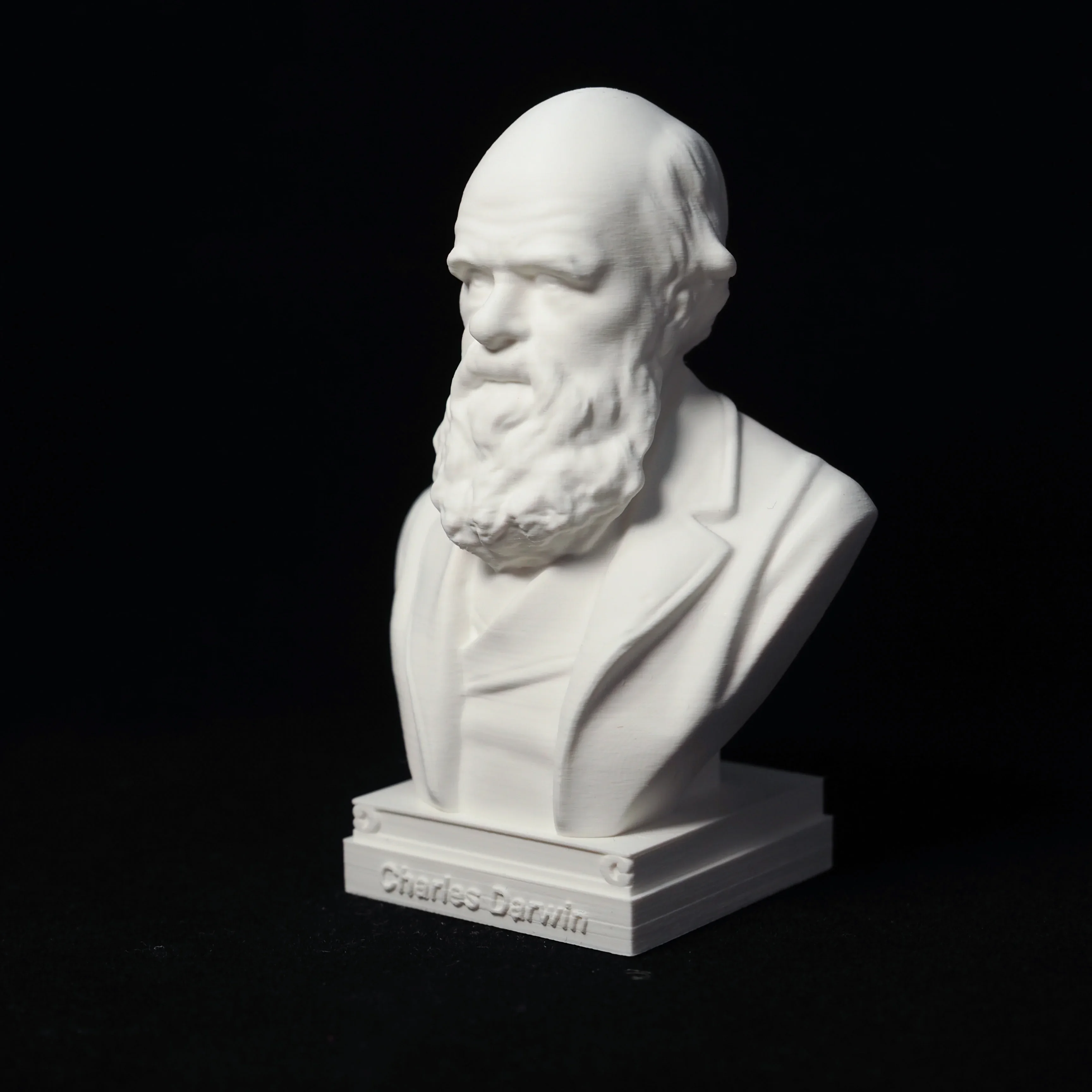 Darwin Imitation Plaster Sculpture Tabletop Ornaments European Scientist Crafts Great Man Portrait, Plastic Model